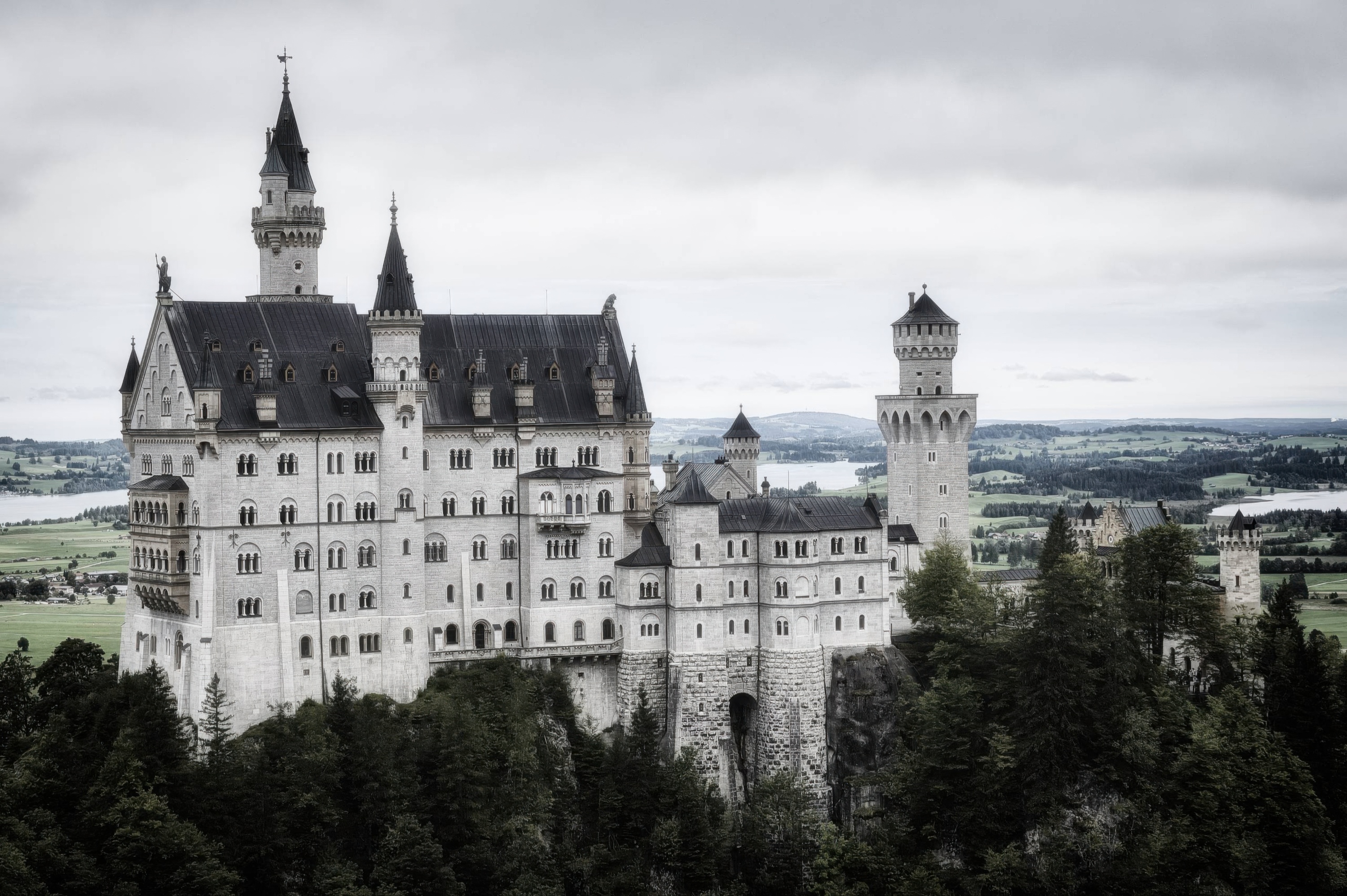Neuschwanstein Behind the Forest — A Fairytale View