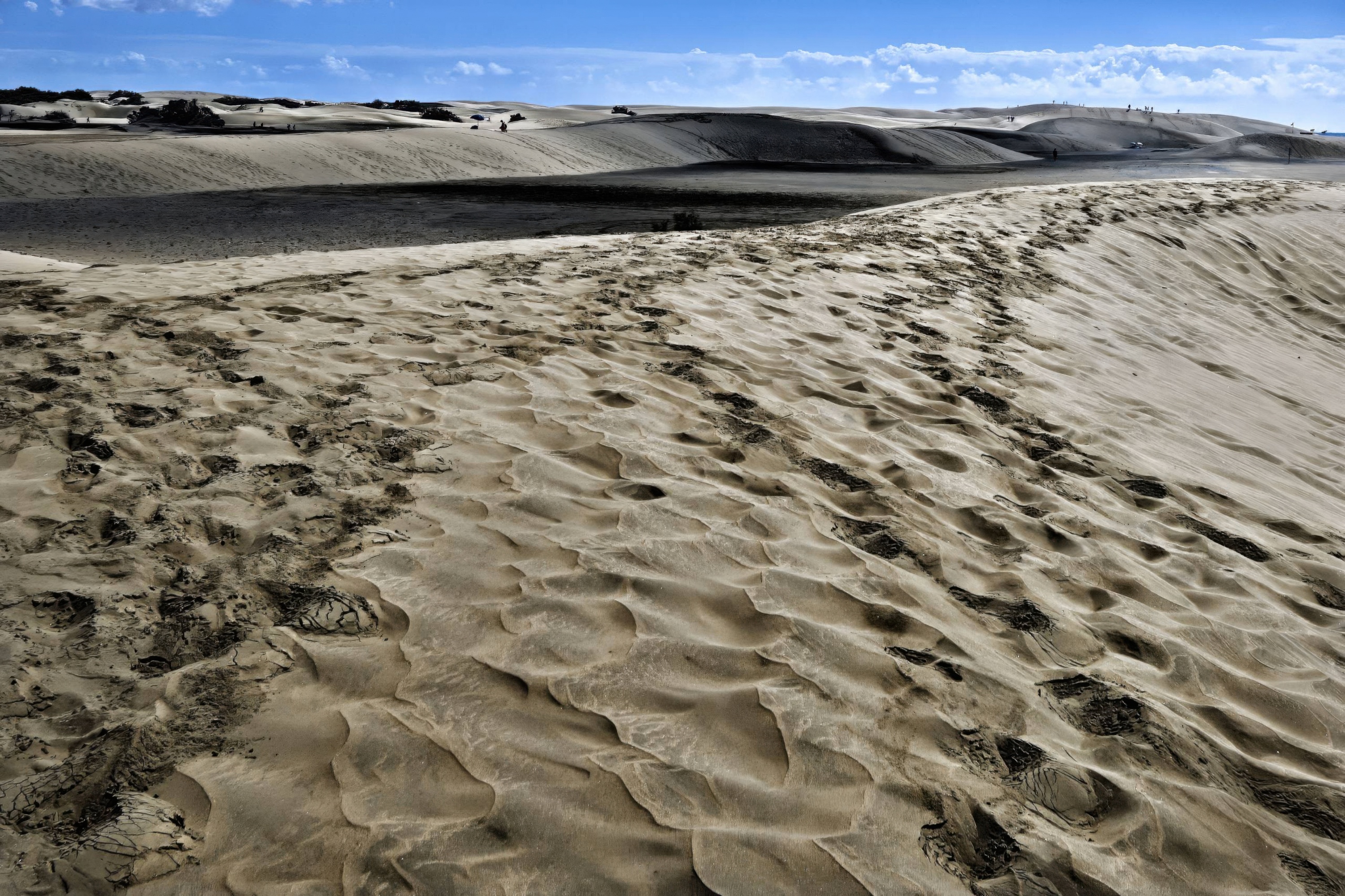 Wind-Carved Dunes Beneath a Blue Horizon