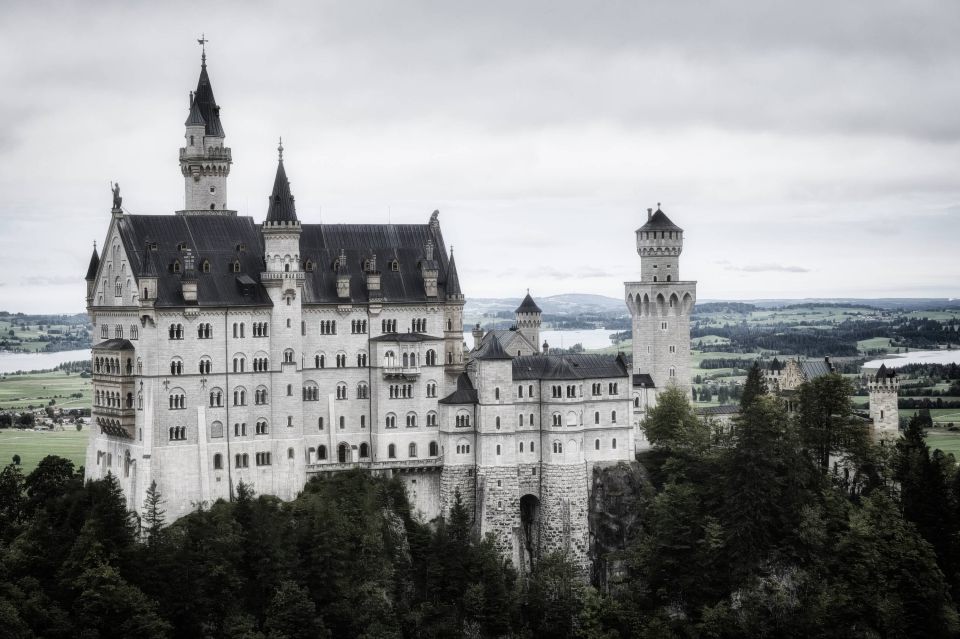 Neuschwanstein Behind the Forest — A Fairytale View