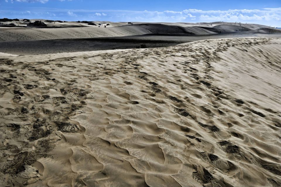 Wind-Carved Dunes Beneath a Blue Horizon