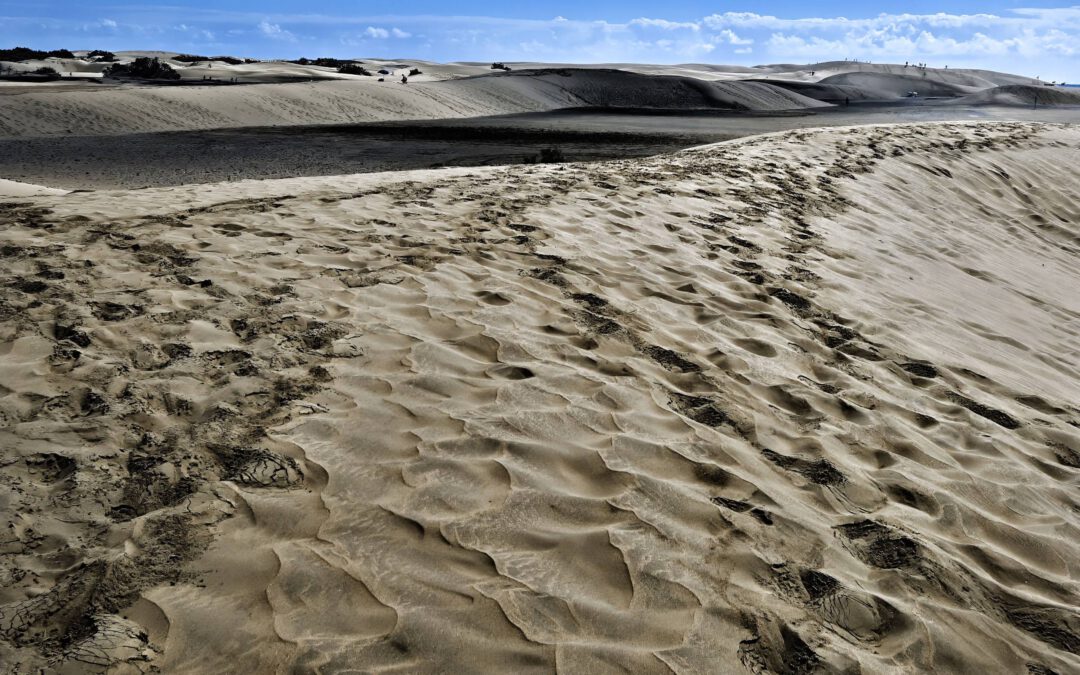 Sanddünen auf Gran Canaria