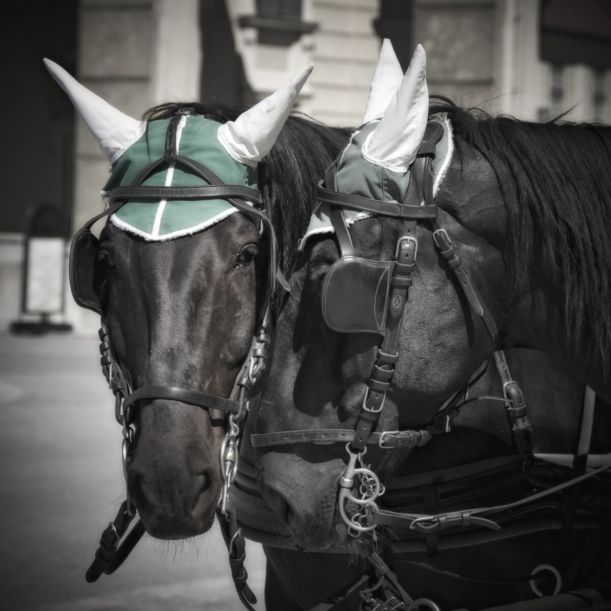 Two Gentle Souls at Schönbrunn